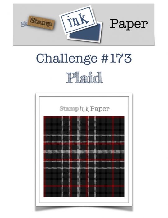 SIP-Challenge-173-Plaid-NEW-800-768x994