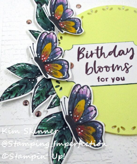 Stampin' Blends Color Combo for Butterflies