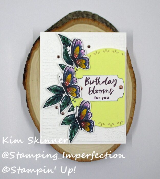 Stampin' Blends Butterfly Color Combo