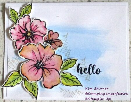 Happy Hibiscus with Watercolor Pencils