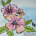 Happy Hibiscus with Watercolor Pencils