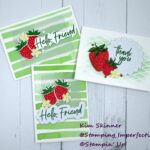 Paper Pumpkin After Kit Party July 2025 Stamping Imperfection Paper Pumpkin After Kit Party projects